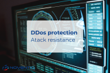 DDOS protection atack resistance